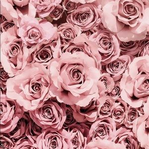 Meet your Posher, Layla